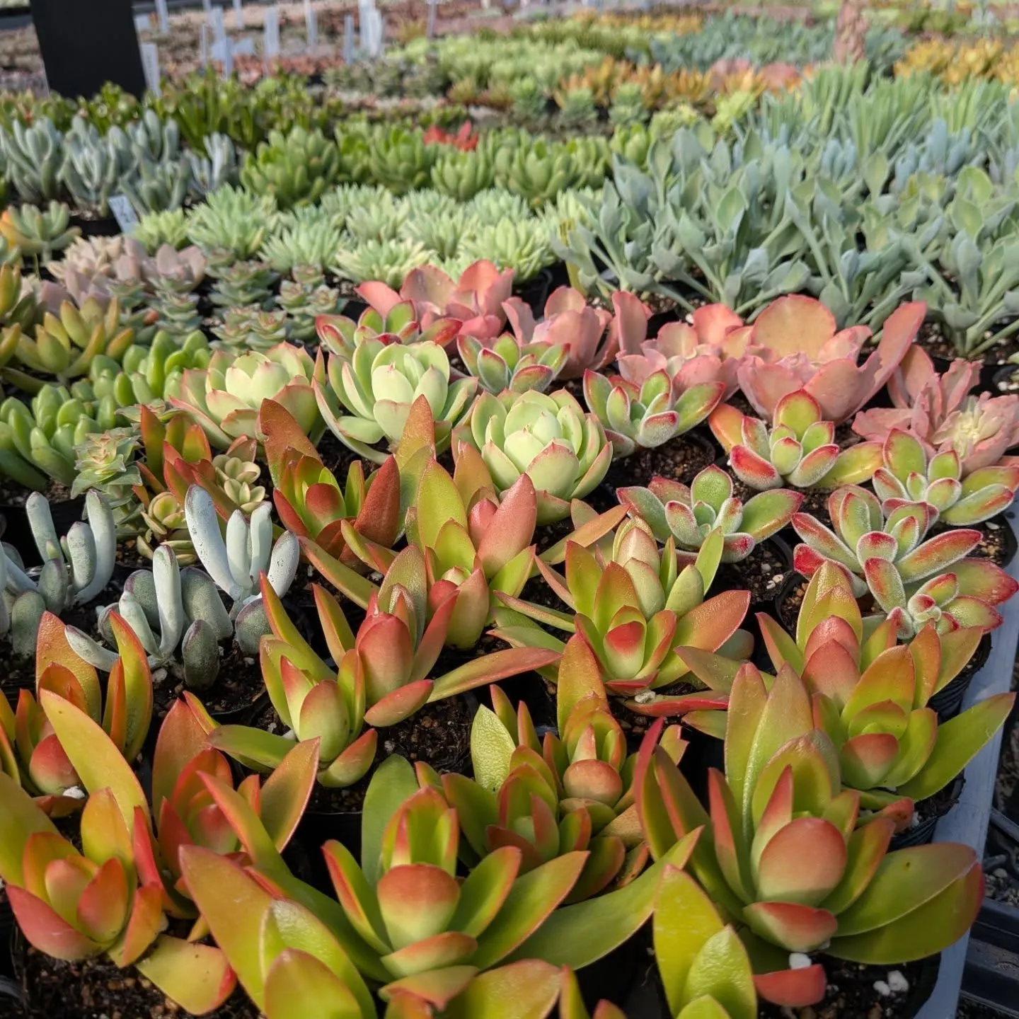 おはようございます