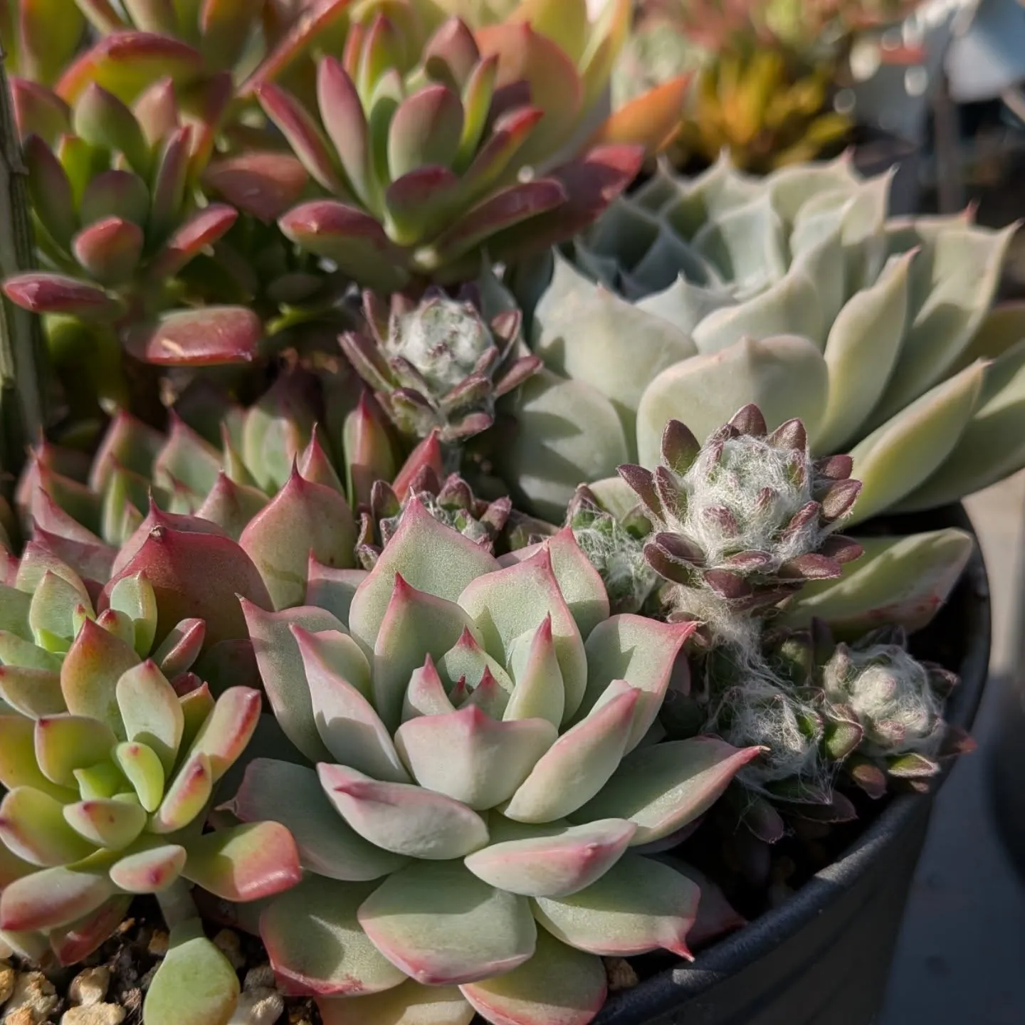 おはようございます