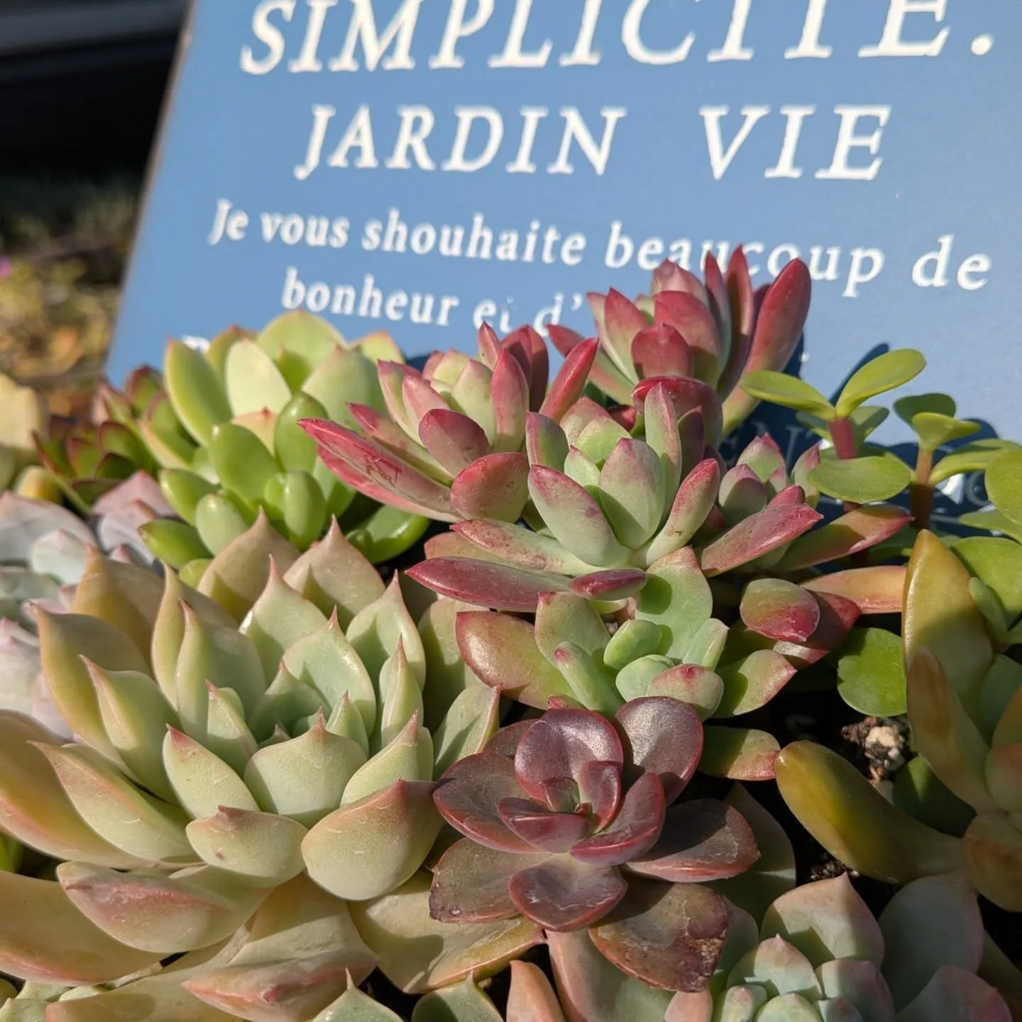 おはようございます