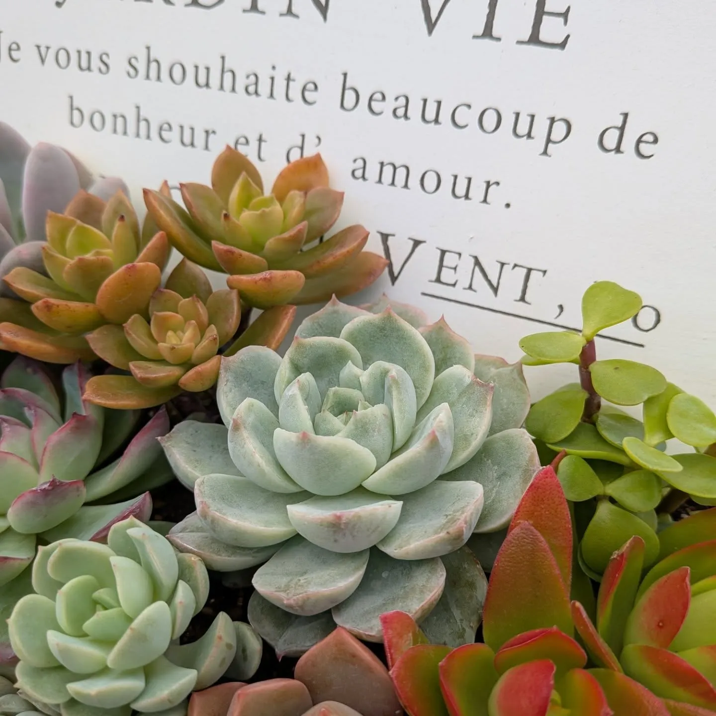 おはようございます