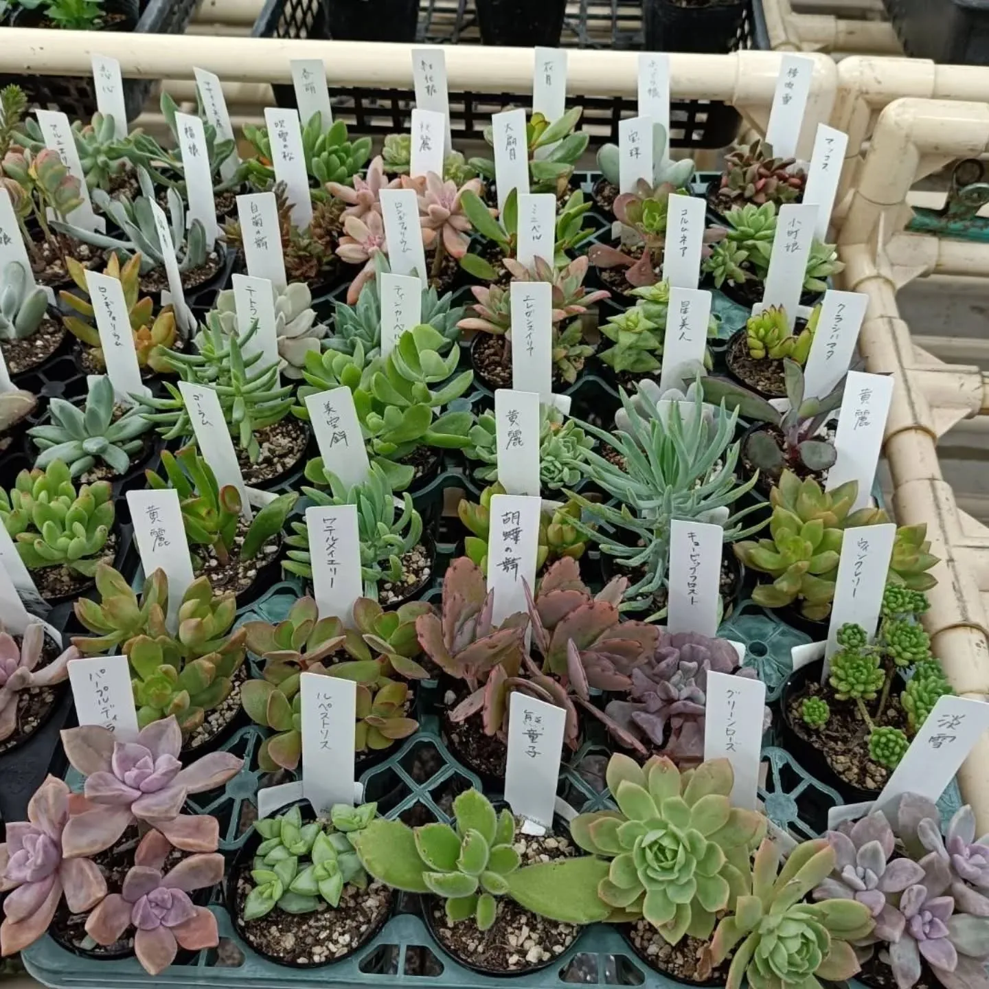 おはようございます☀