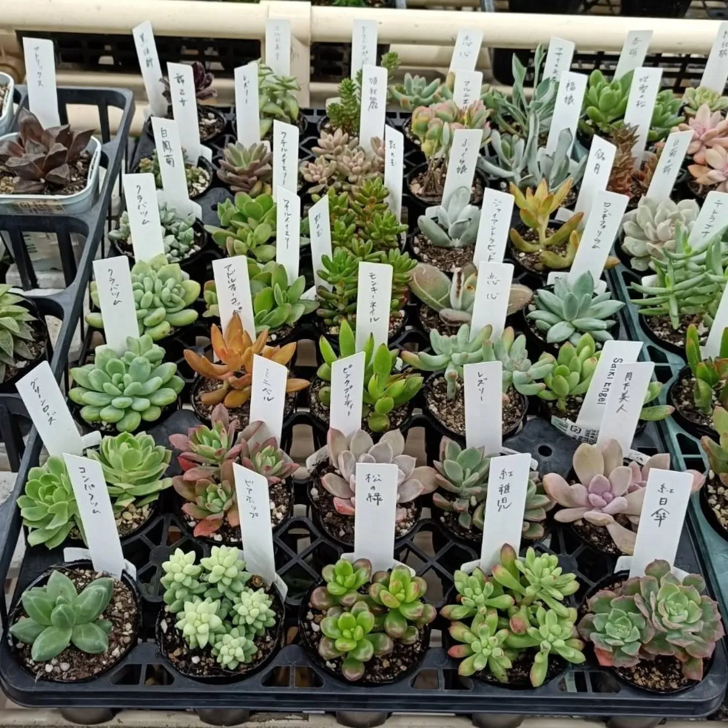 おはようございます☀