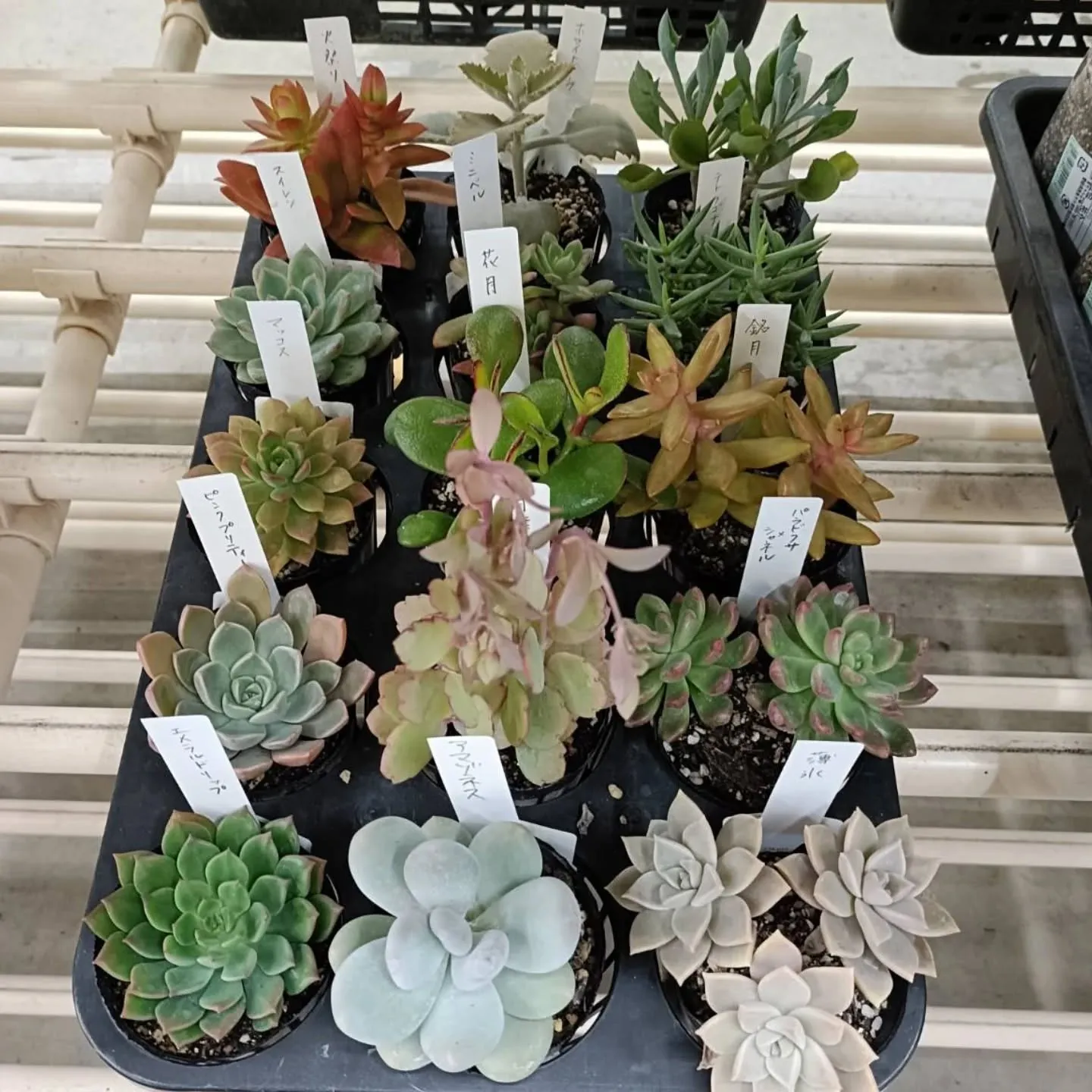 おはようございます☀