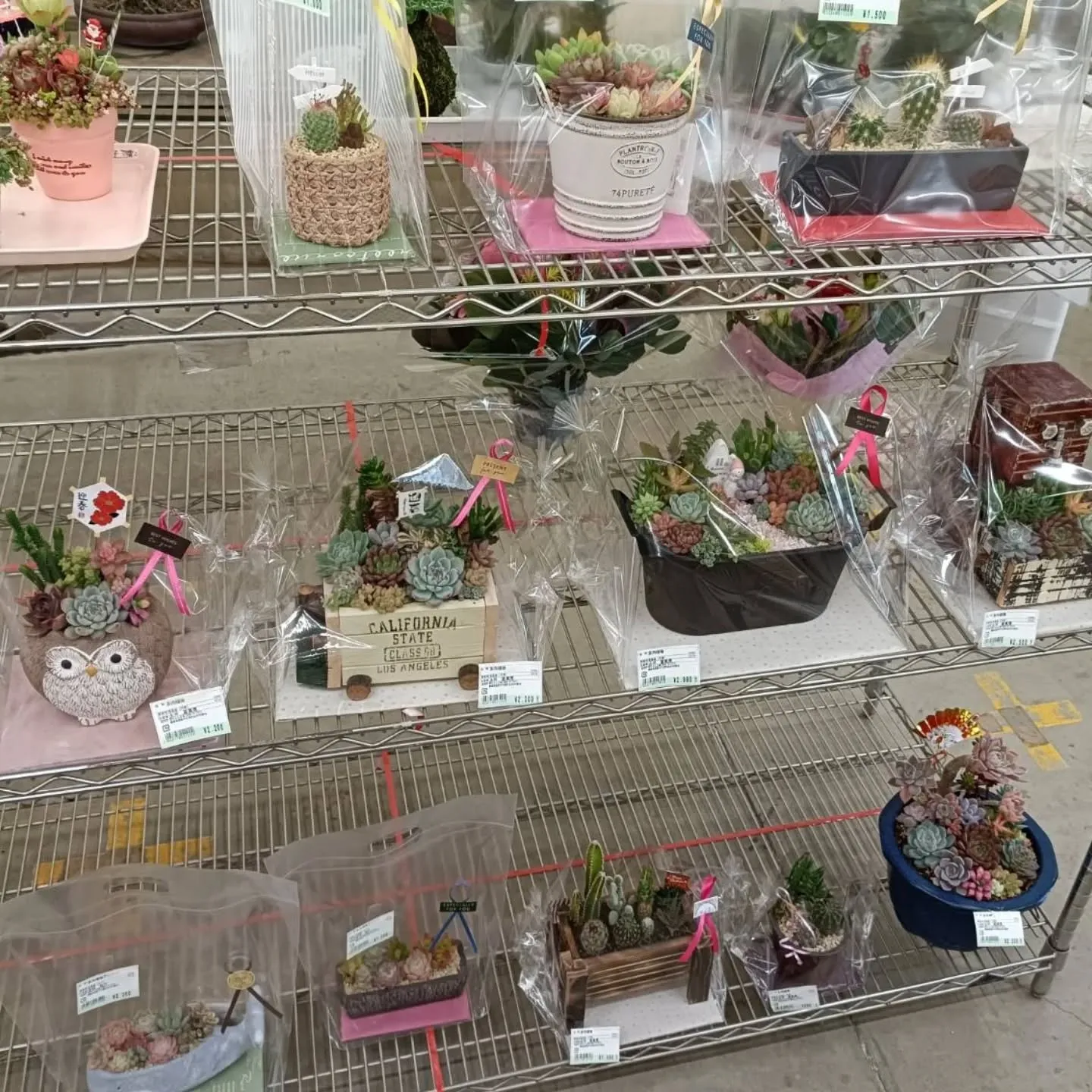 おはようございます☀