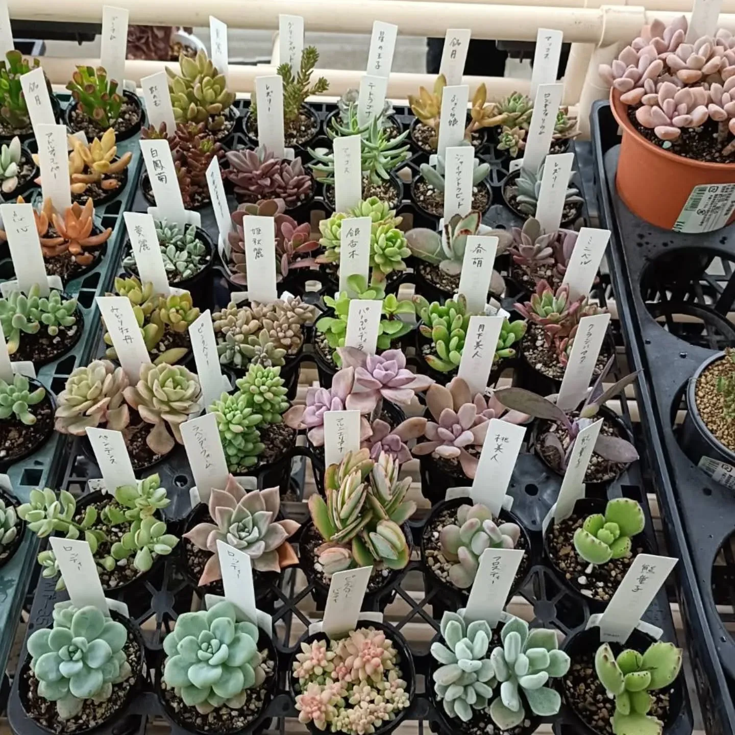 おはようございます😃