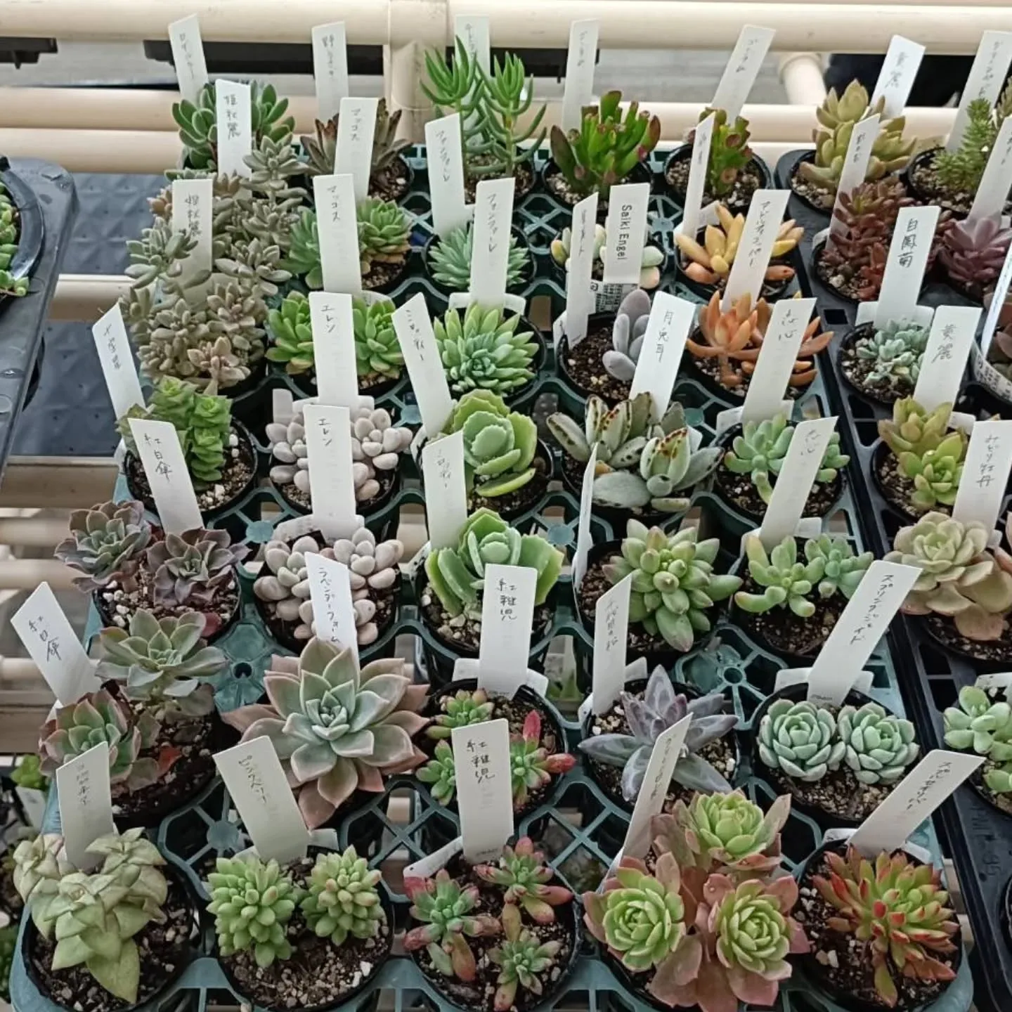 おはようございます😃