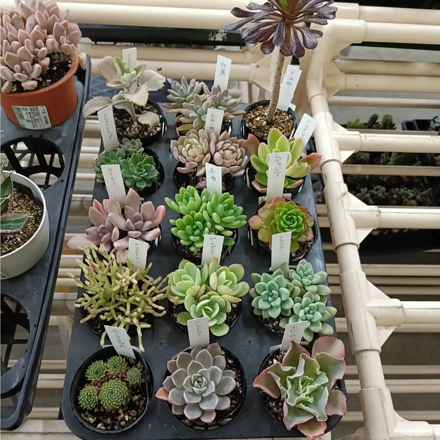 おはようございます😃