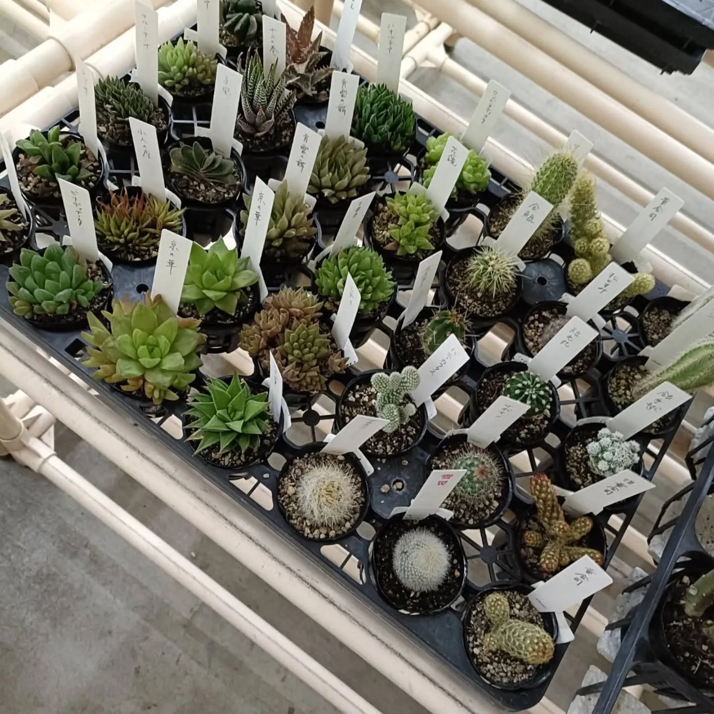 おはようございます😃