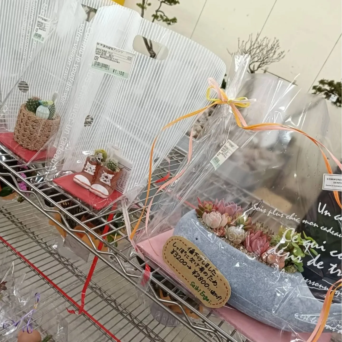 おはようございます😃