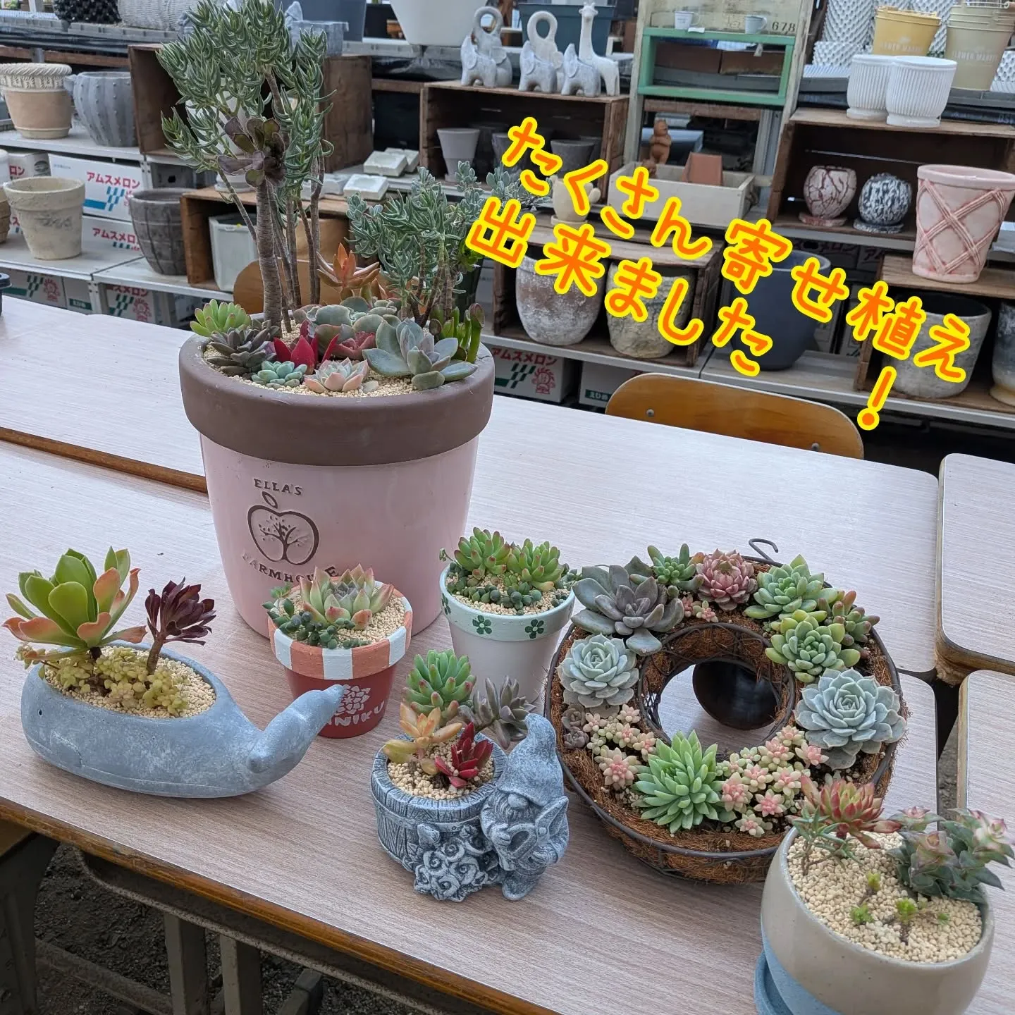 寄せ植え体験の作品です😊