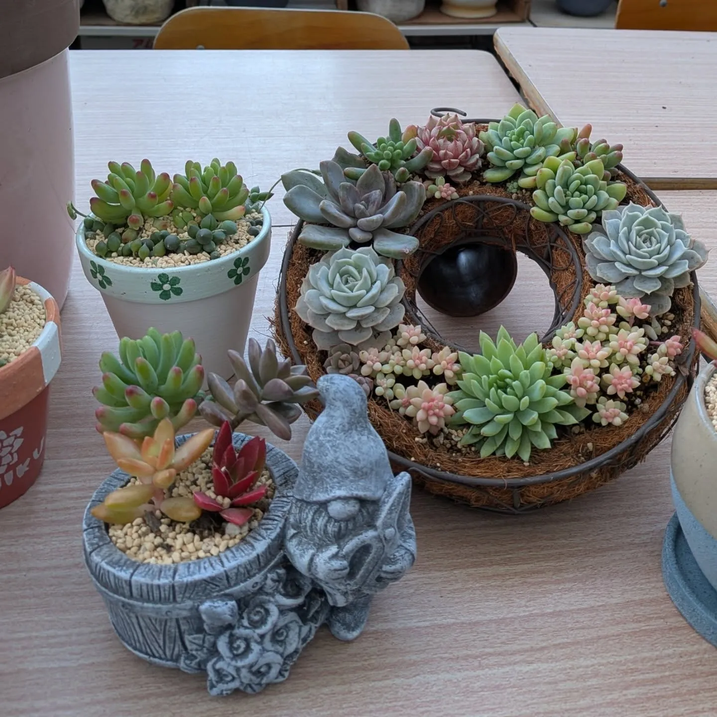 寄せ植え体験の作品です😊