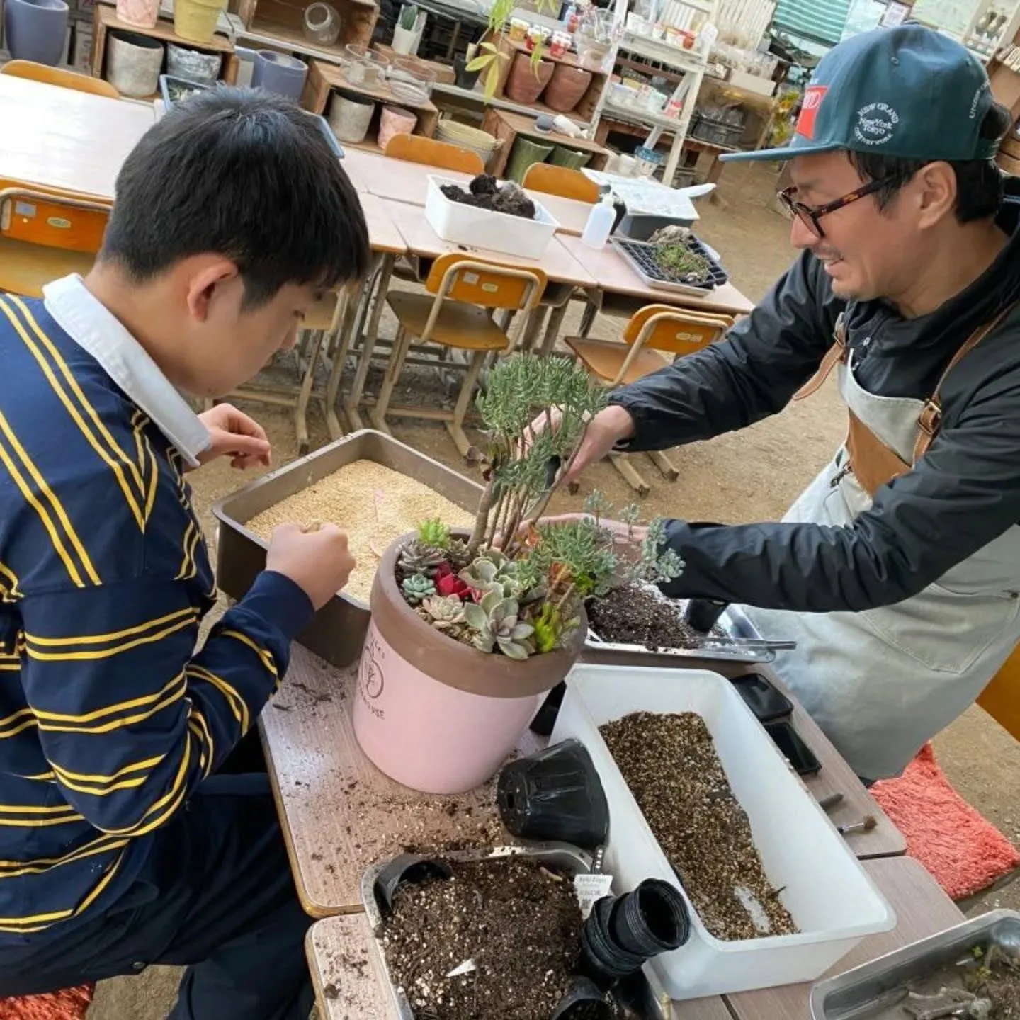 寄せ植え体験の作品です😊