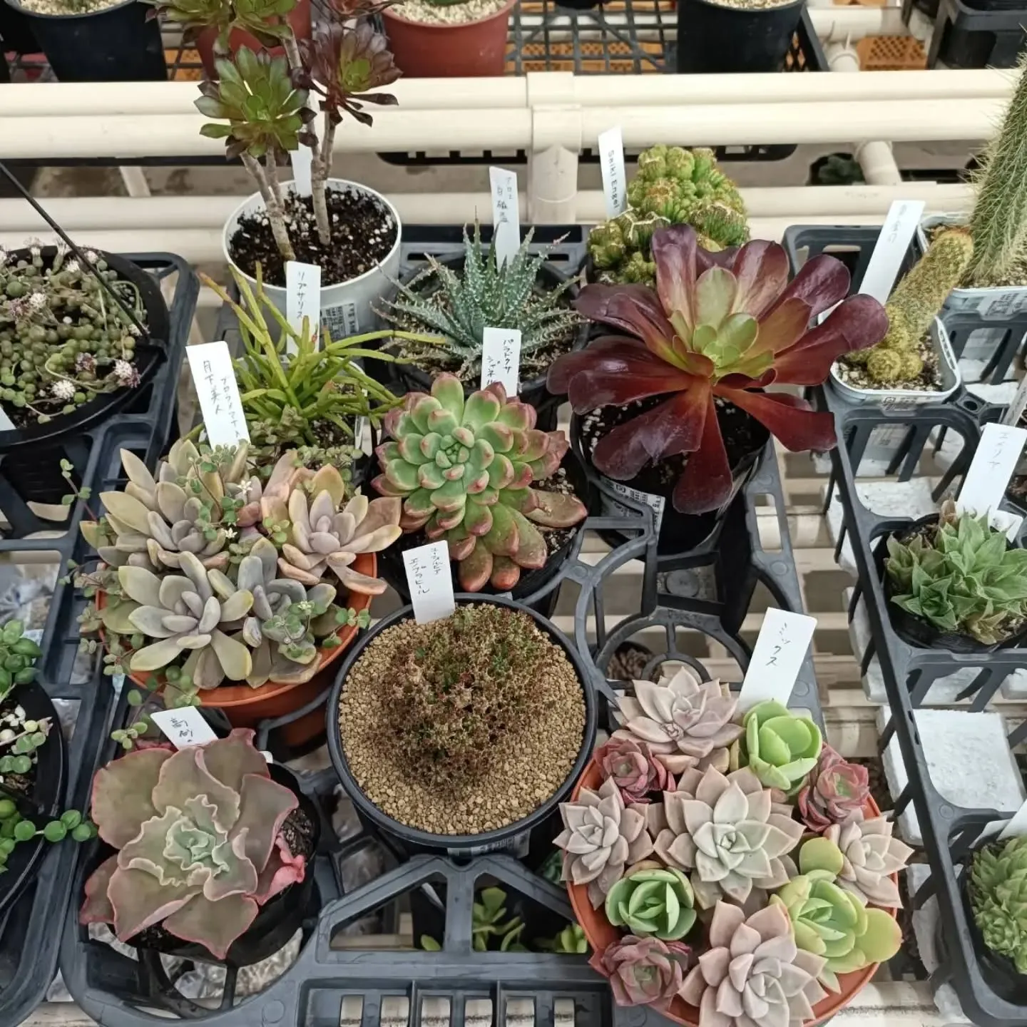 おはようございます☀