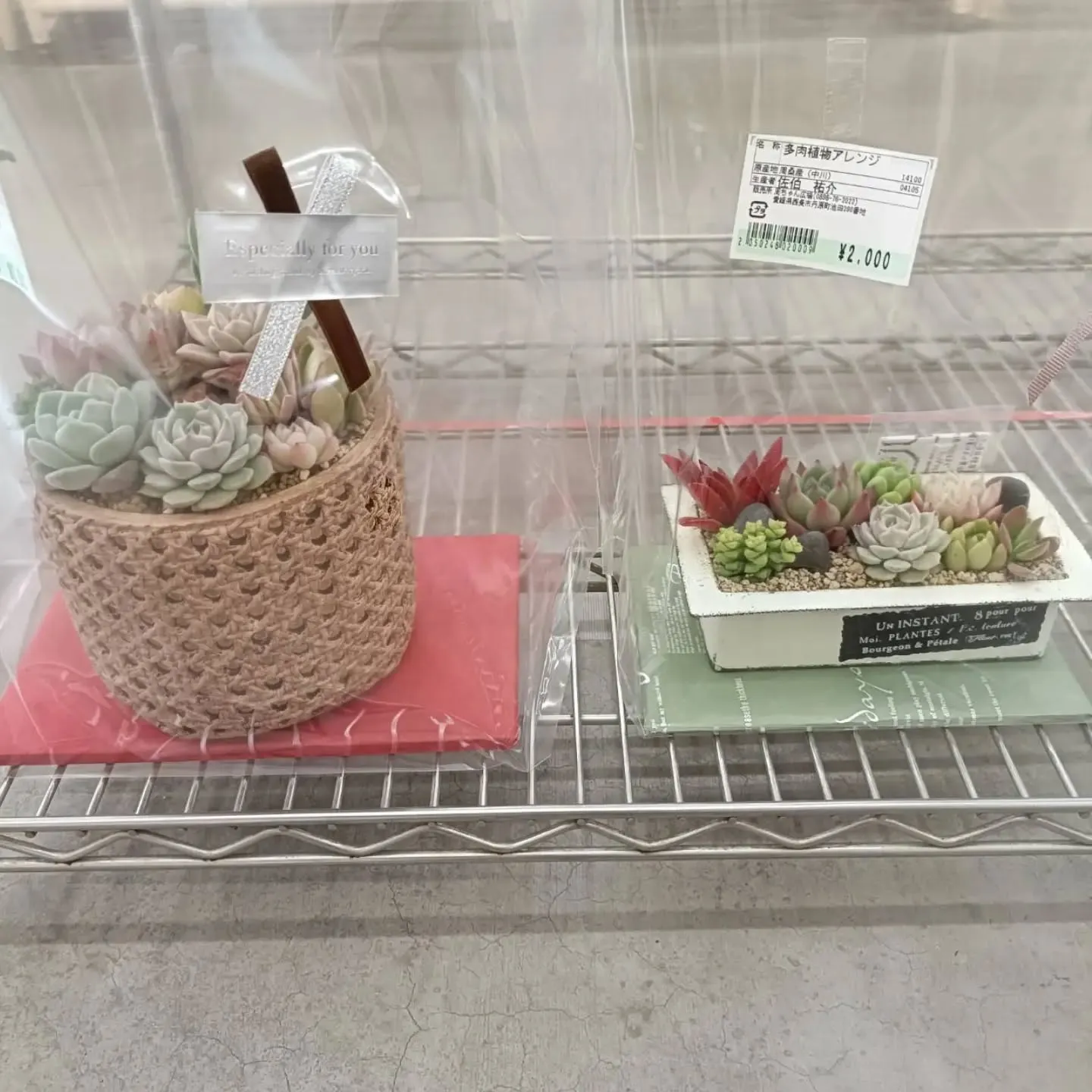 おはようございます☀