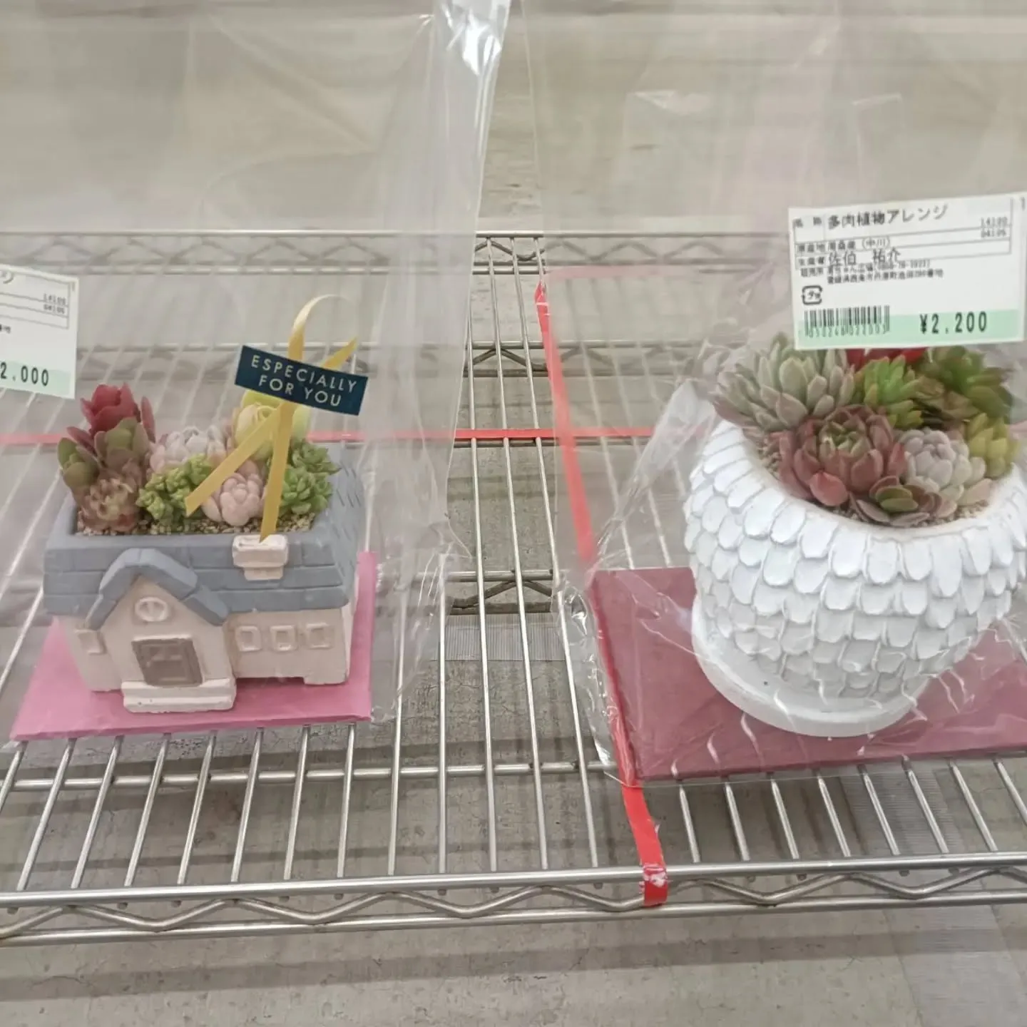 おはようございます☀