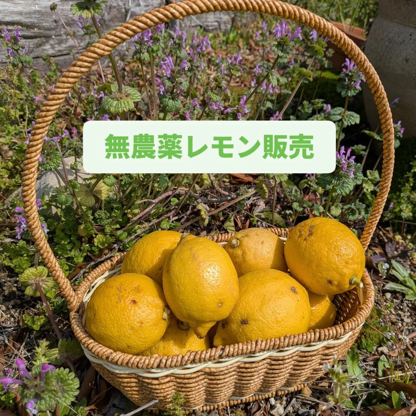 やってきました！今週末❣️