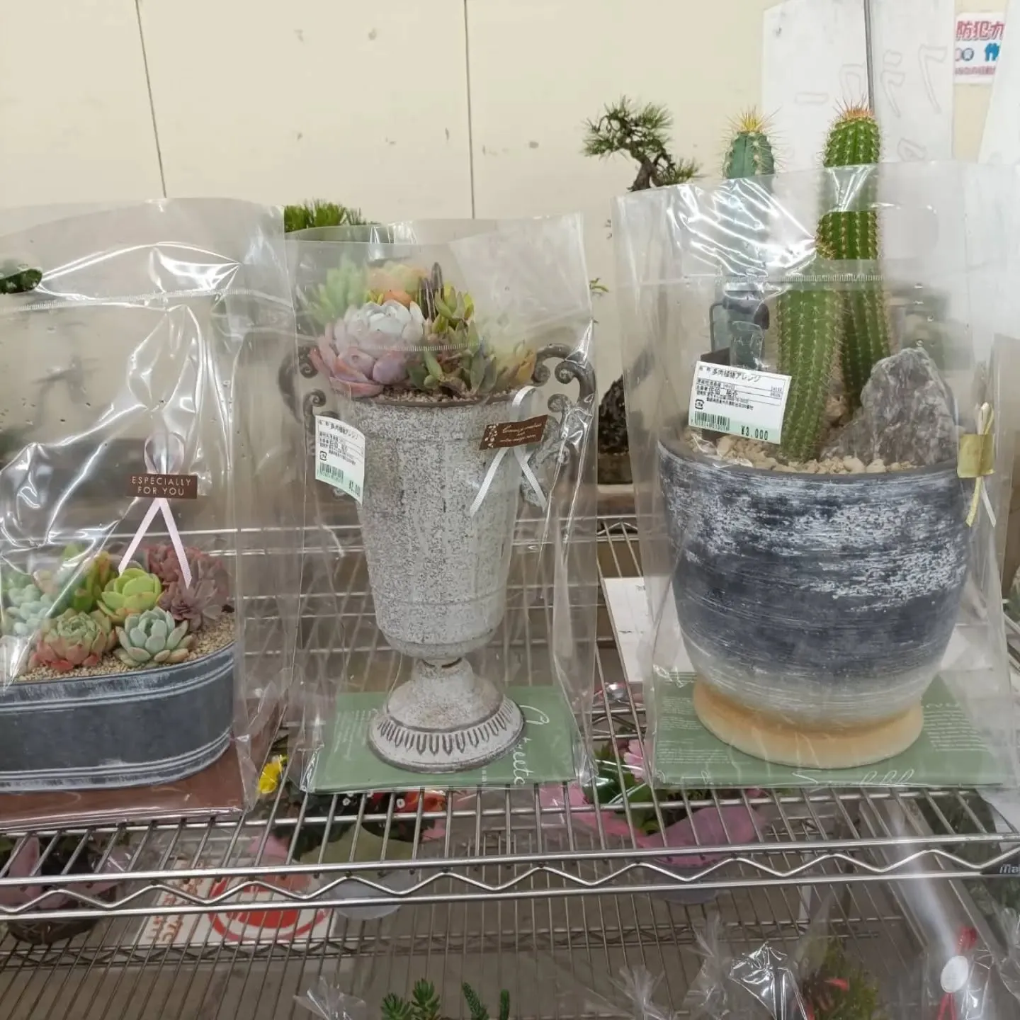 おはようございます。