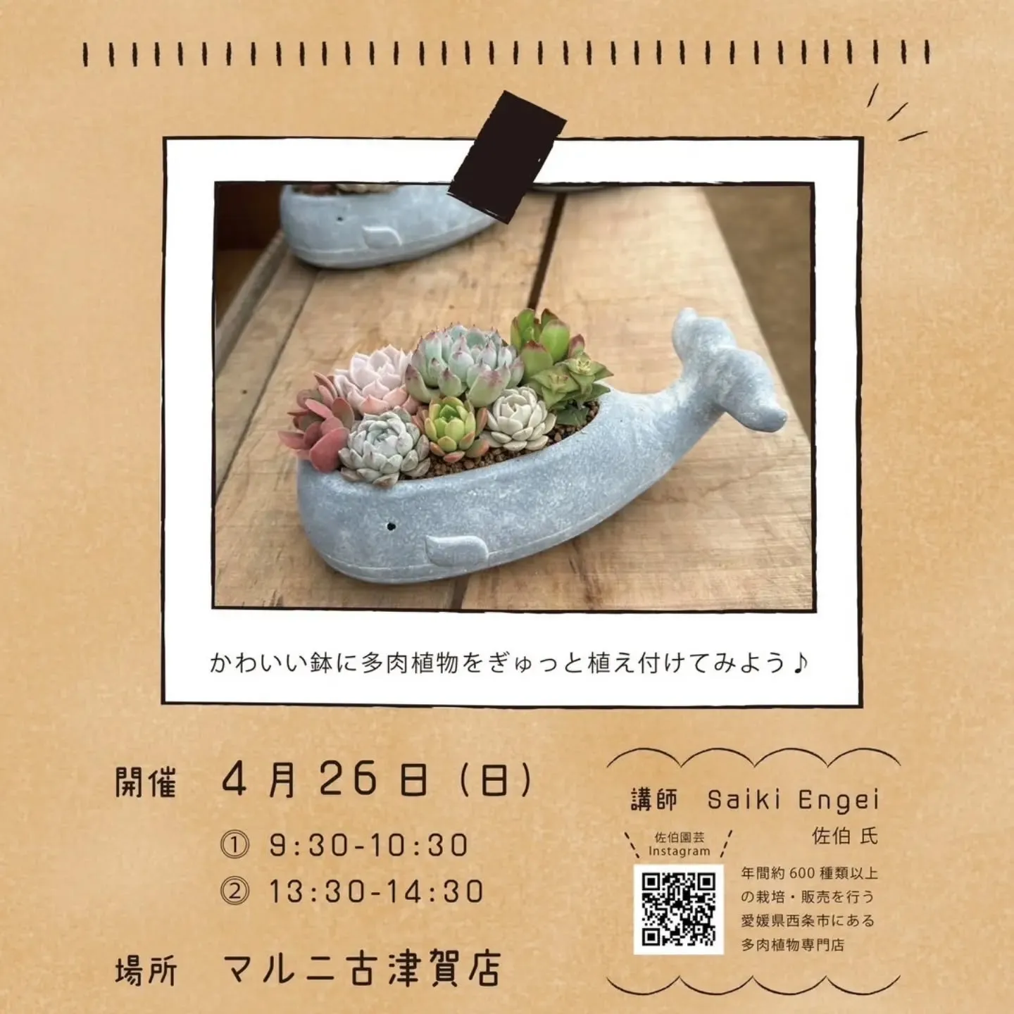 #土佐の国へ出張 イベント行きます。