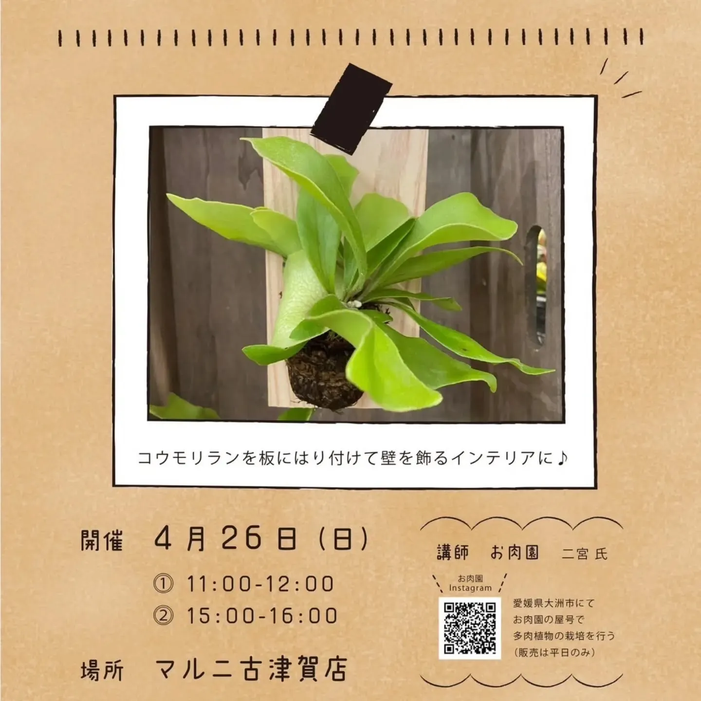 #土佐の国へ出張 イベント行きます。