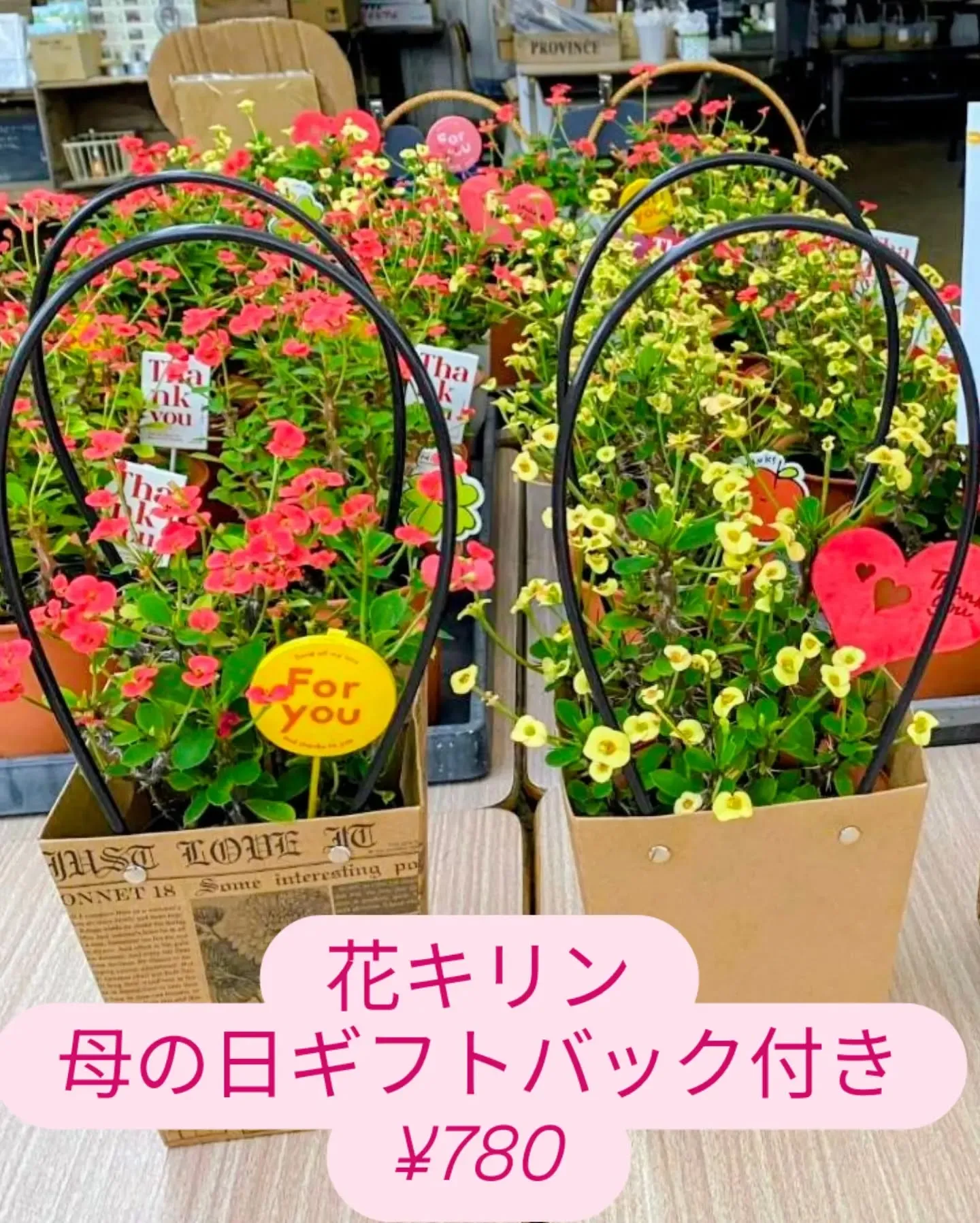 29日は恒例にくにくの日✨✨✨