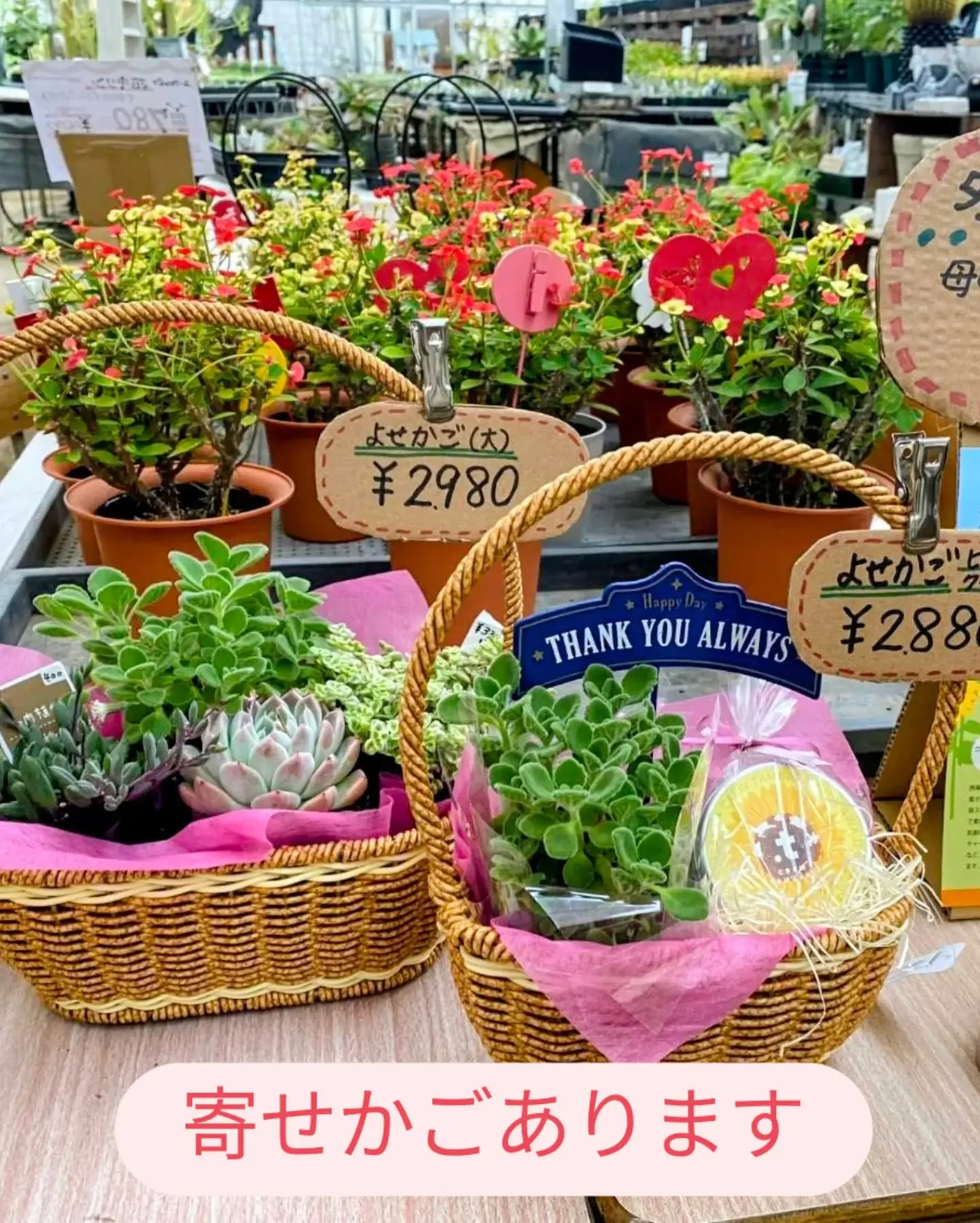 29日は恒例にくにくの日✨✨✨