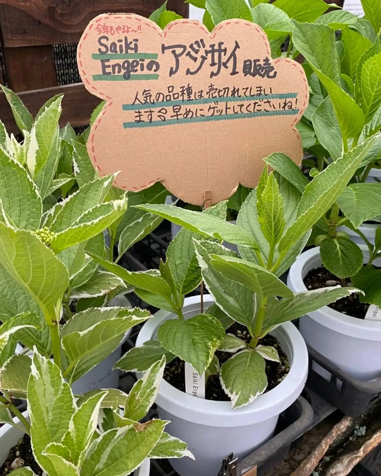 29日は恒例にくにくの日✨✨✨