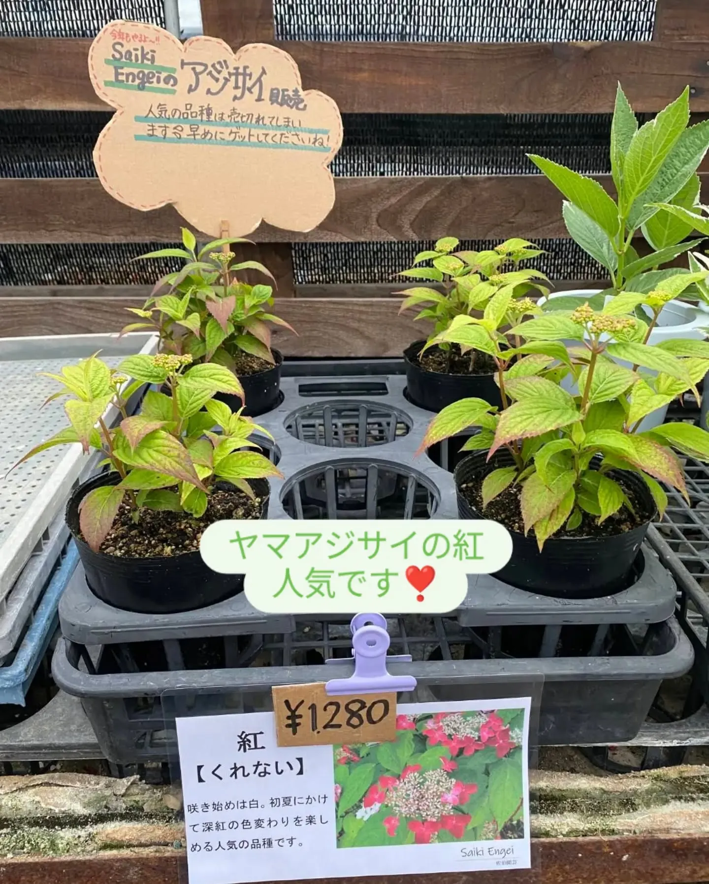 29日は恒例にくにくの日✨✨✨