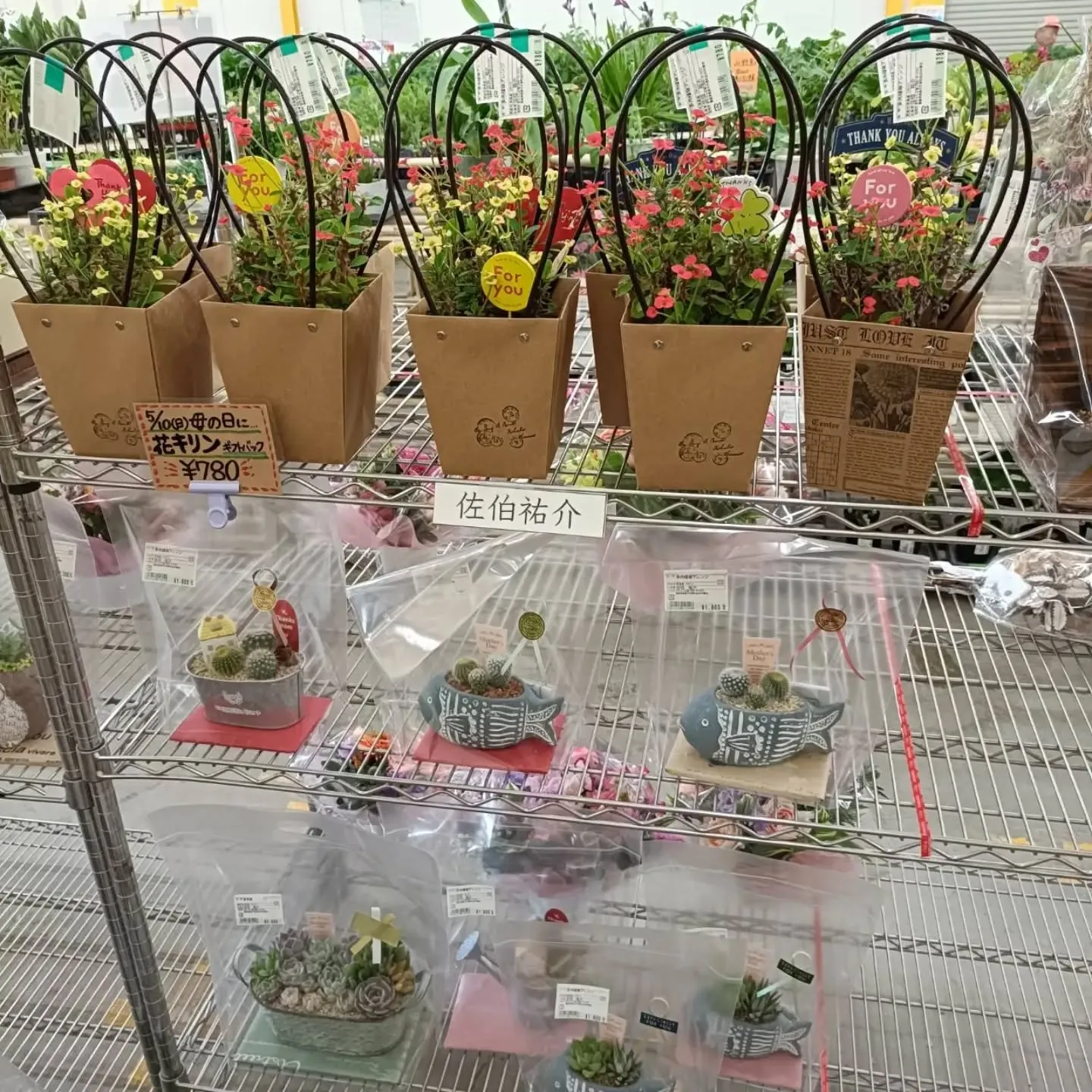 周ちゃん広場花売り場に、フレッシュな苗と寄せ植えを持って行っ...