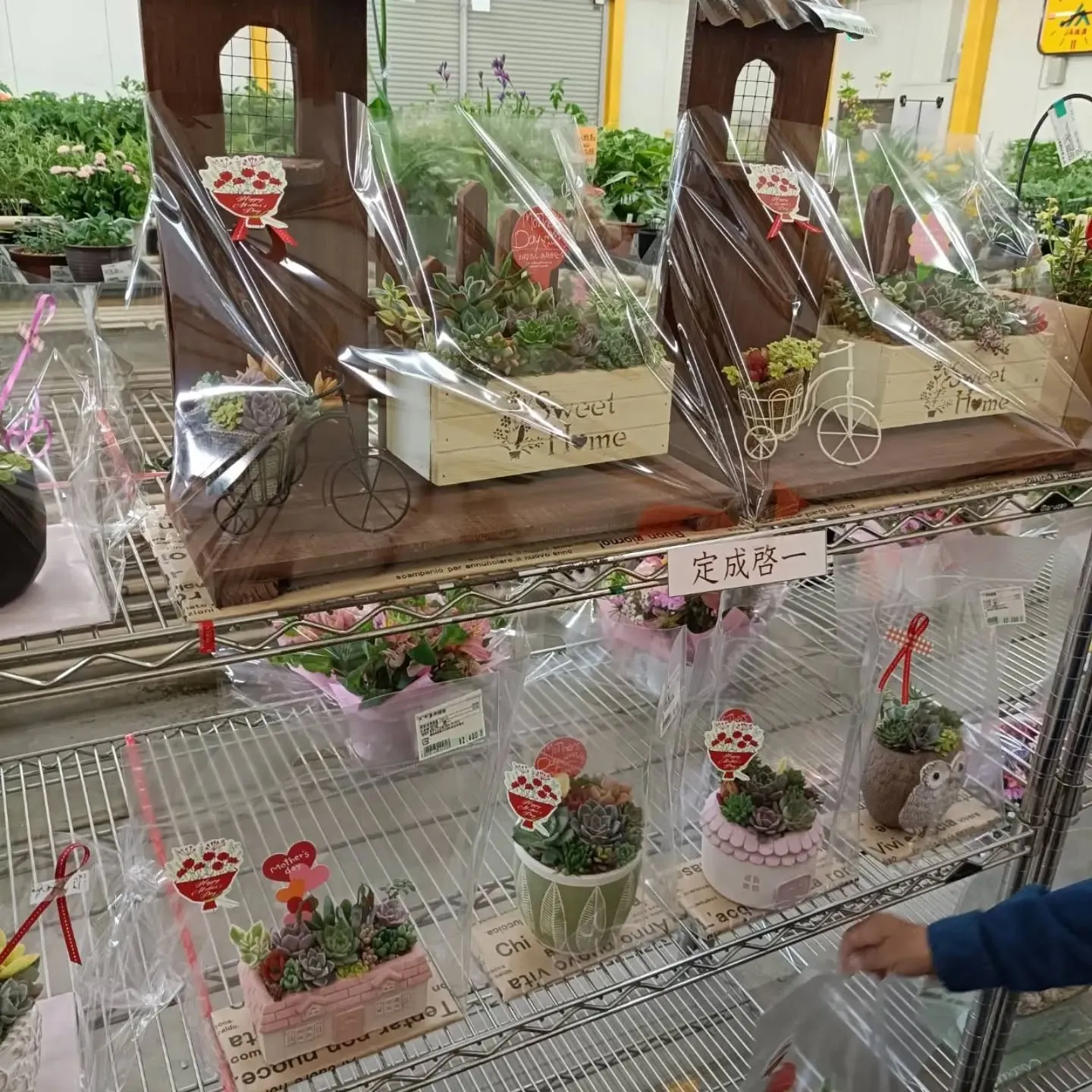 周ちゃん広場花売り場に、フレッシュな苗と寄せ植えを持って行っ...