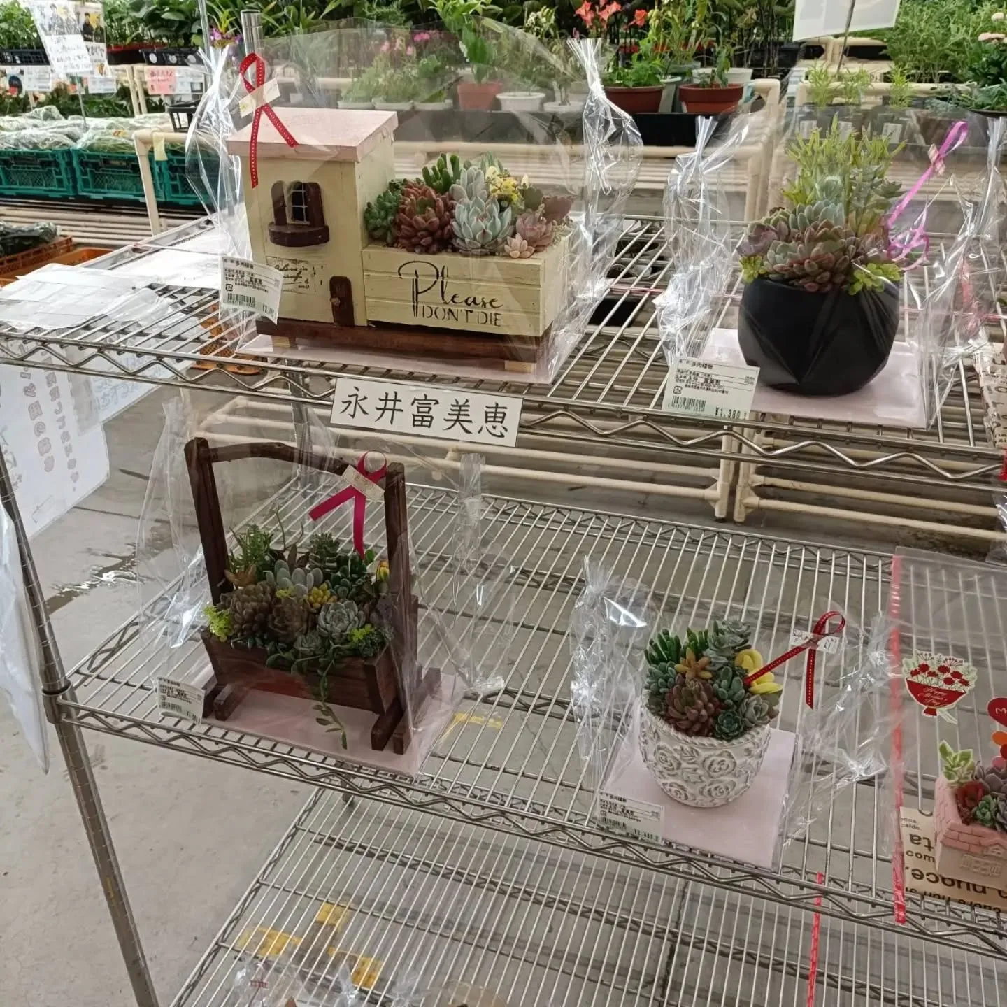周ちゃん広場花売り場に、フレッシュな苗と寄せ植えを持って行っ...
