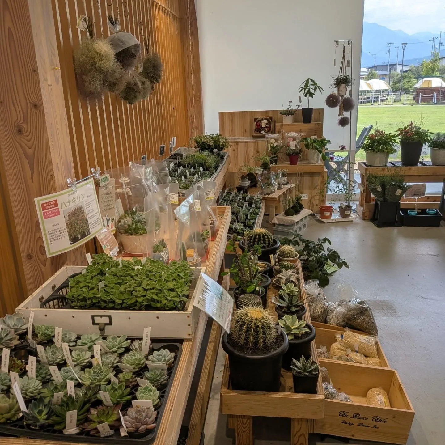本日は西条市のいとまちマルシェに出荷に来ております。