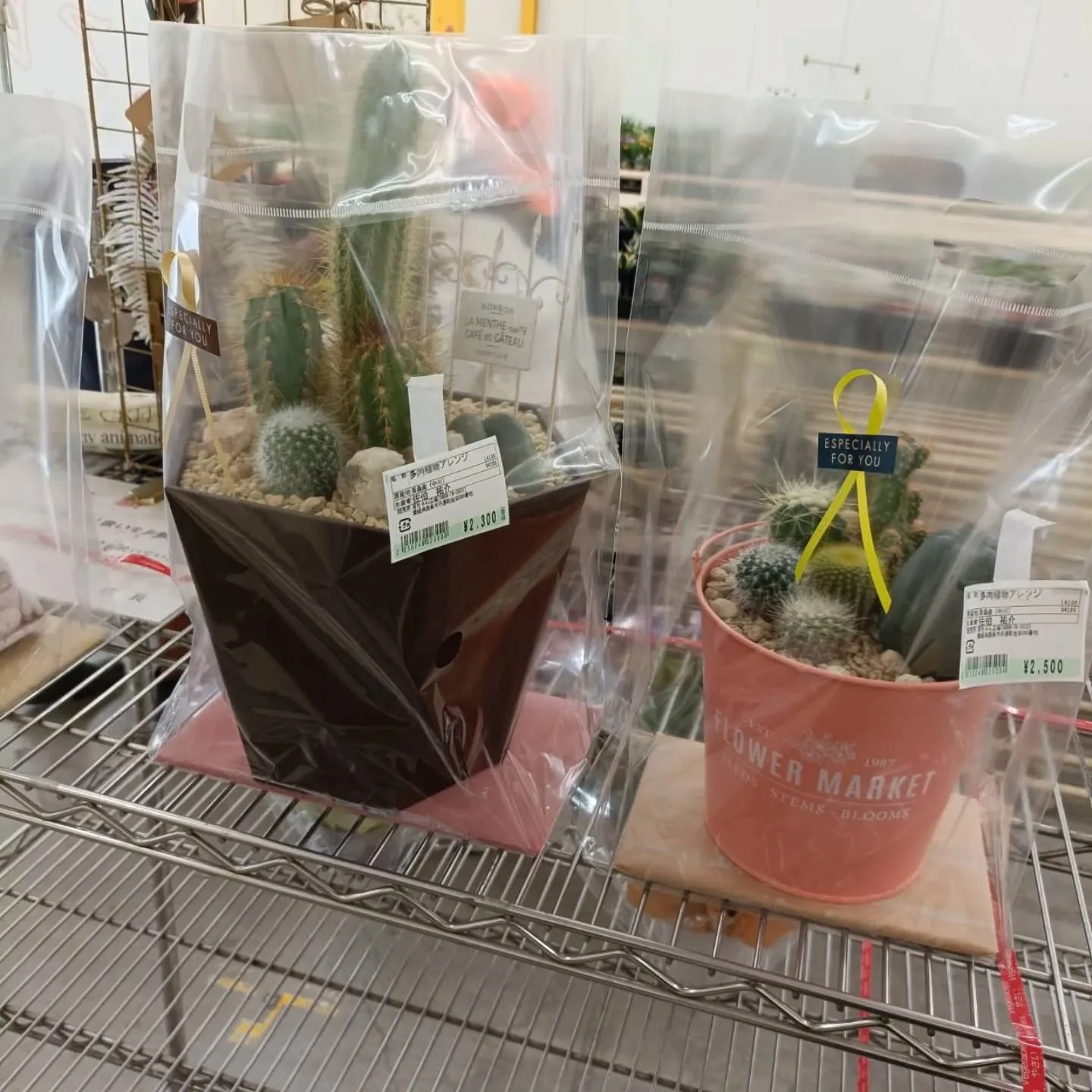 周ちゃん広場花売り場に苗と寄せ植えを出荷してきました😊