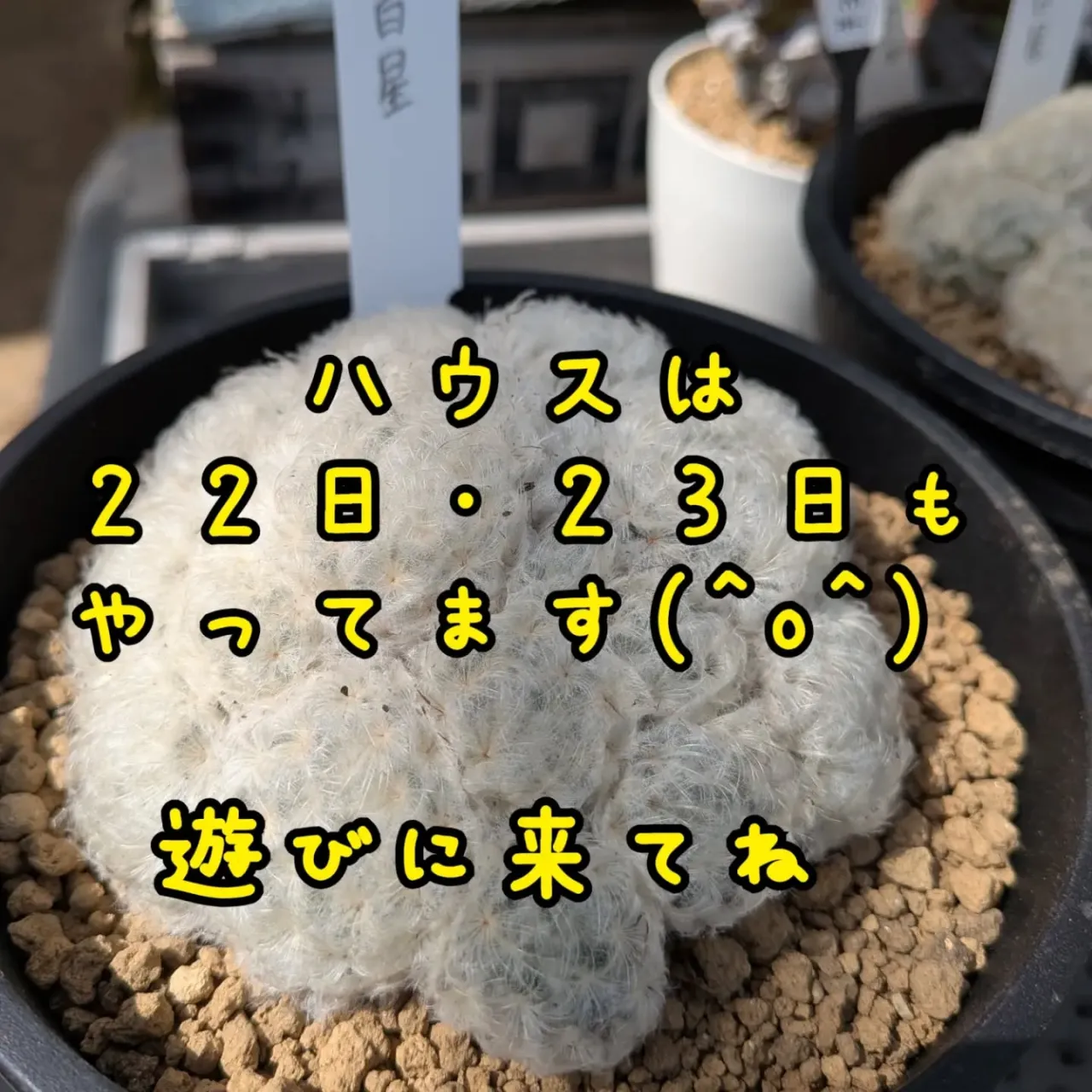 天気いいですねぇ〜☀