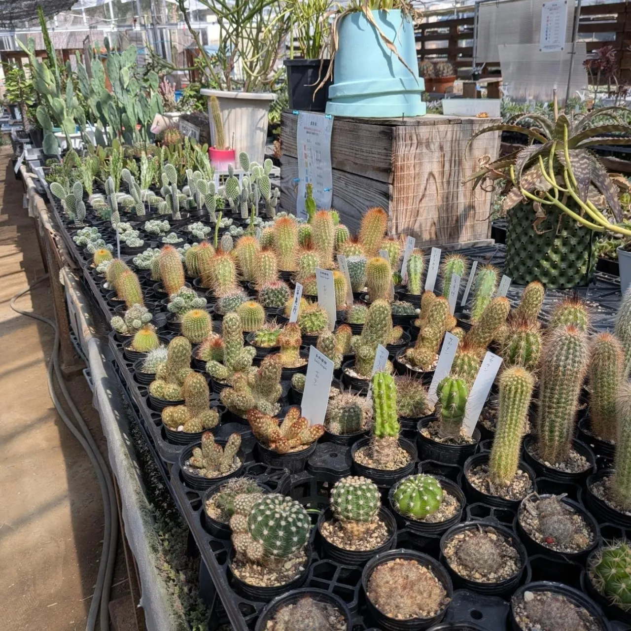 おはようございます☀