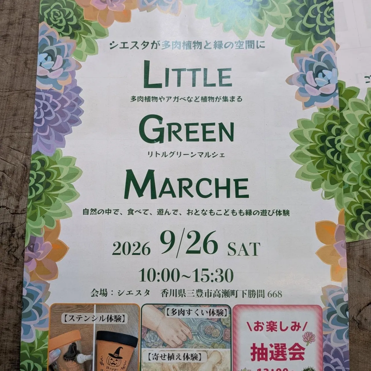 周ちゃん広場花売り場に苗を出荷してきました✨