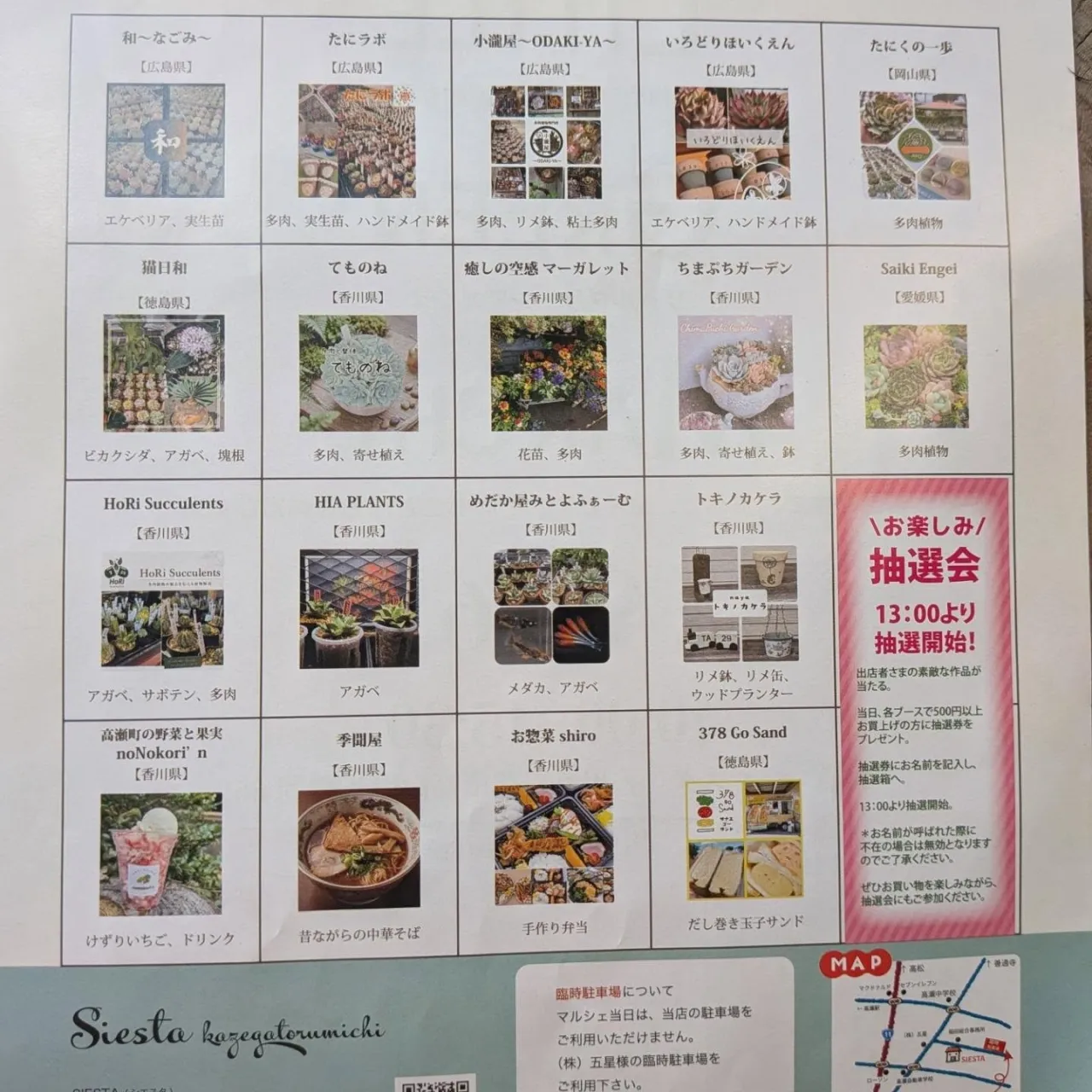 周ちゃん広場花売り場に苗を出荷してきました✨