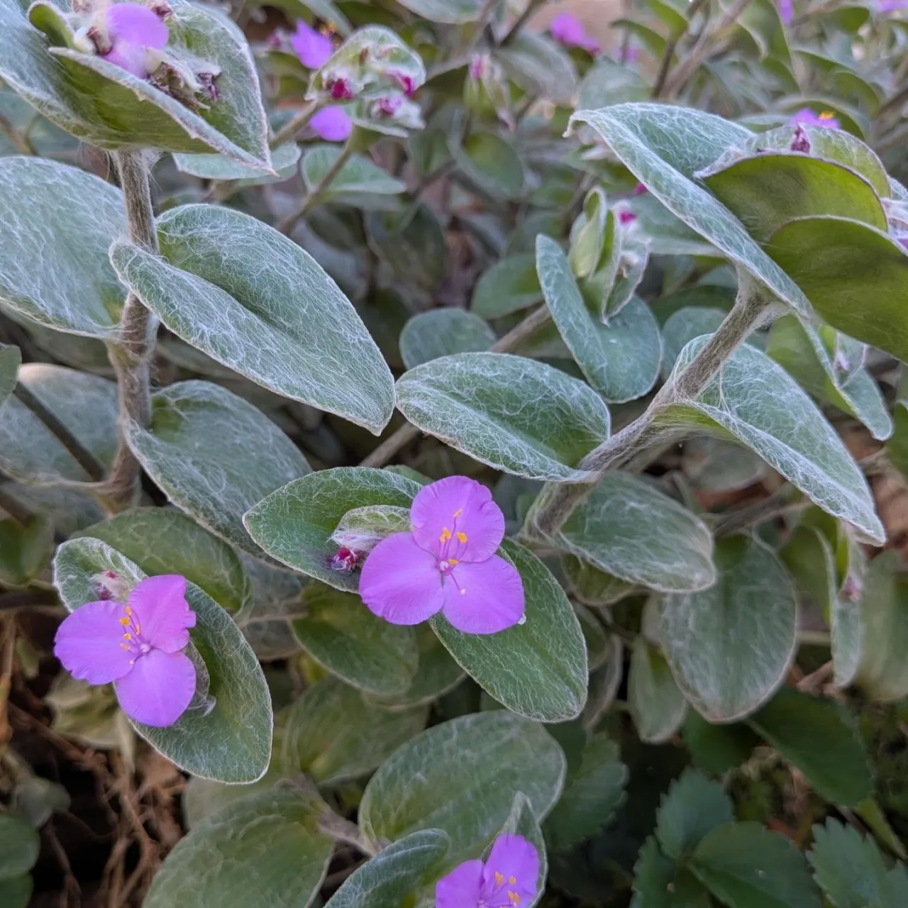 おはようございます😊