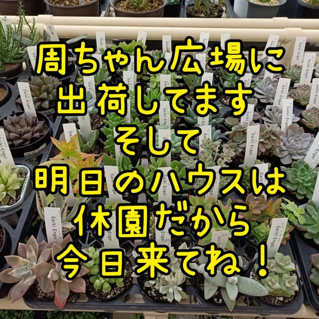 おはようございます☀