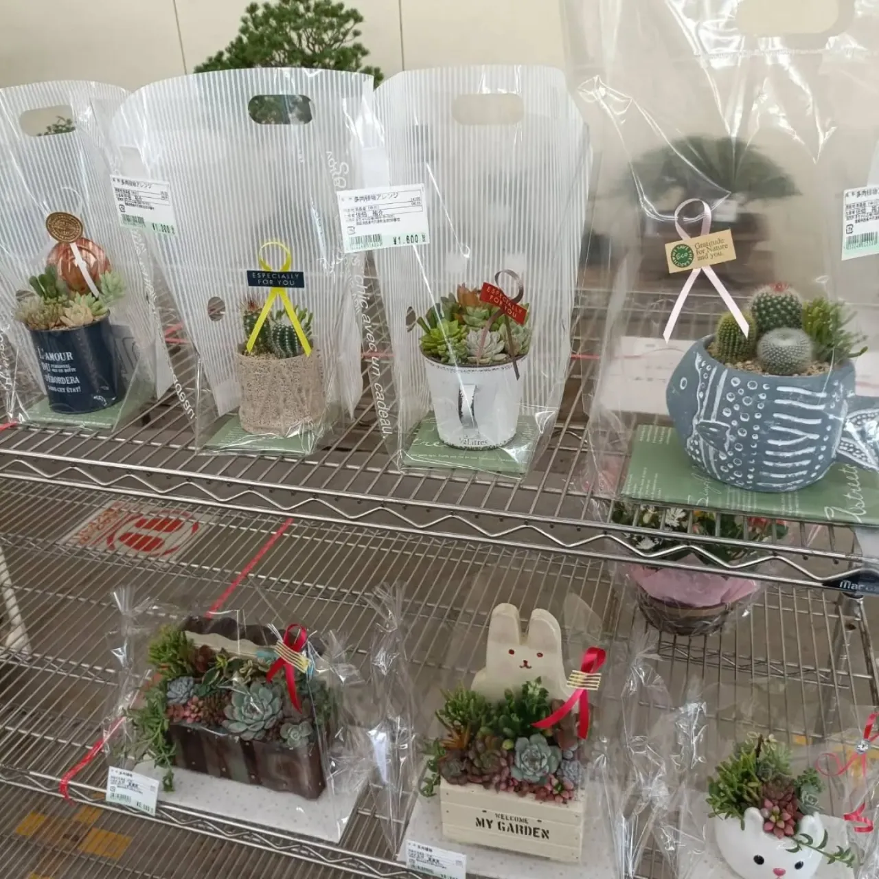 おはようございます☀