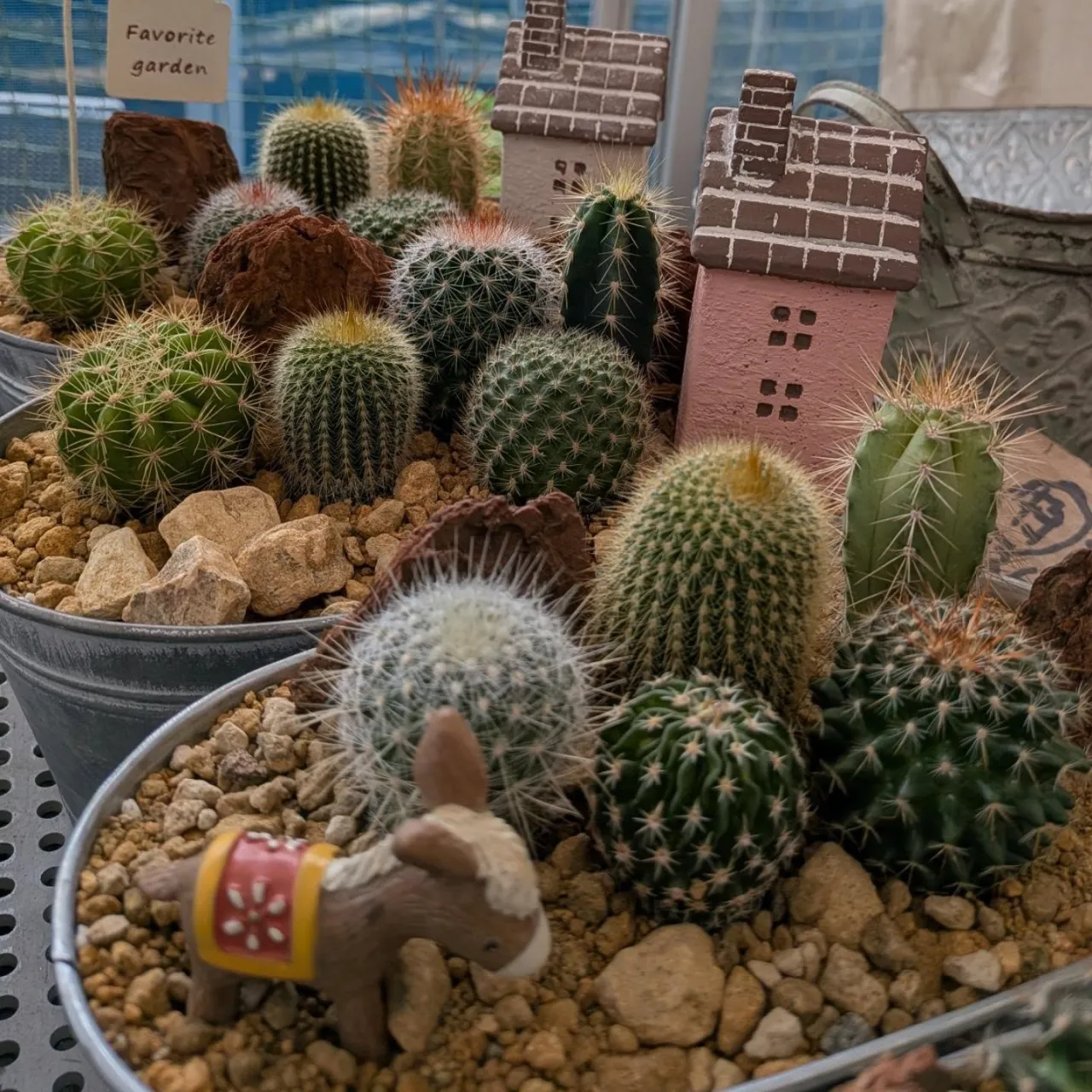 こんにちは〜