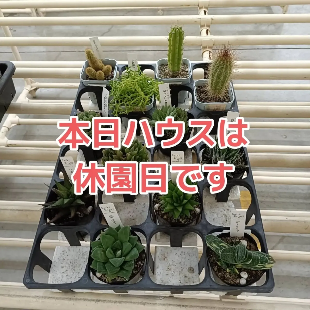 おはようございます😊