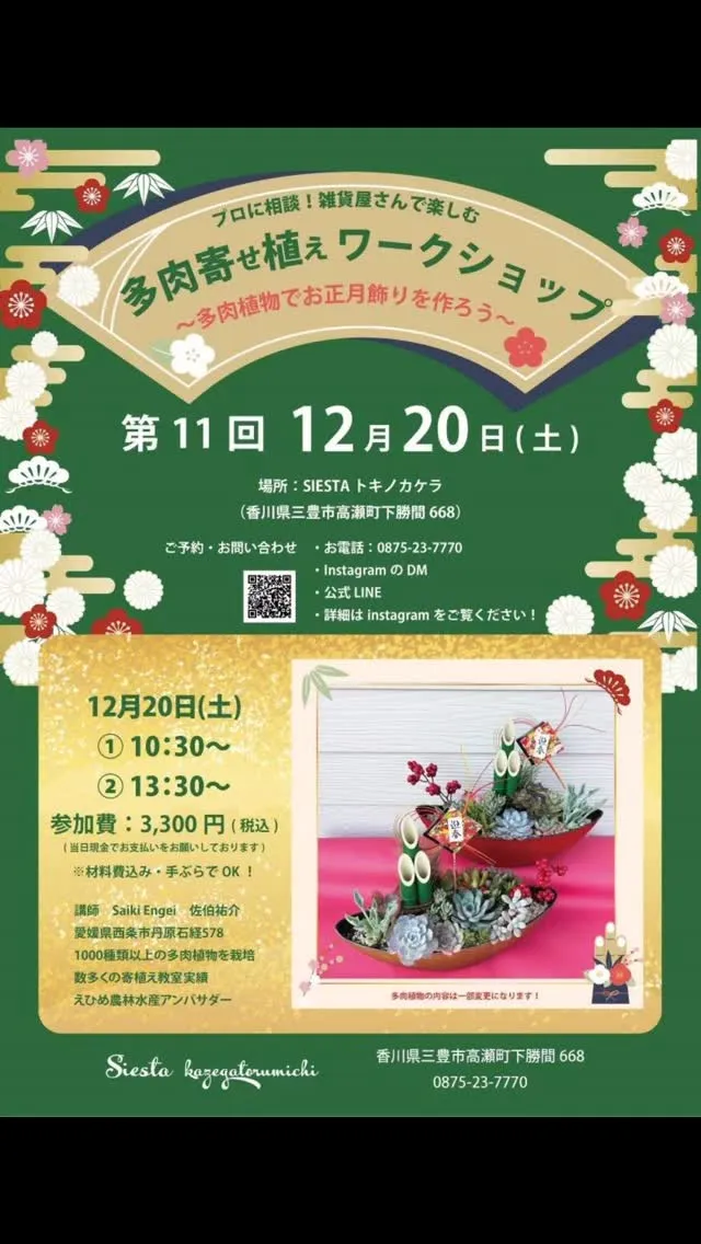 (⁠灬⁠º⁠‿⁠º⁠灬⁠)⁠♡#多肉植物寄せ植え教室 