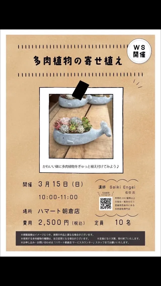 #ハマート朝倉店#多肉植物寄せ植え教室 #クジラの器