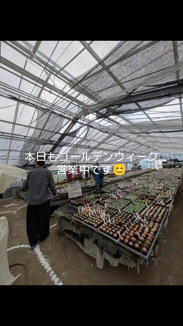SaikiEngeiは、ゴールデンウィーク特別営業日を設けて...