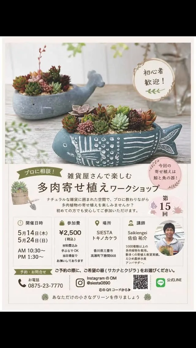 #今月の教室 in Siesta