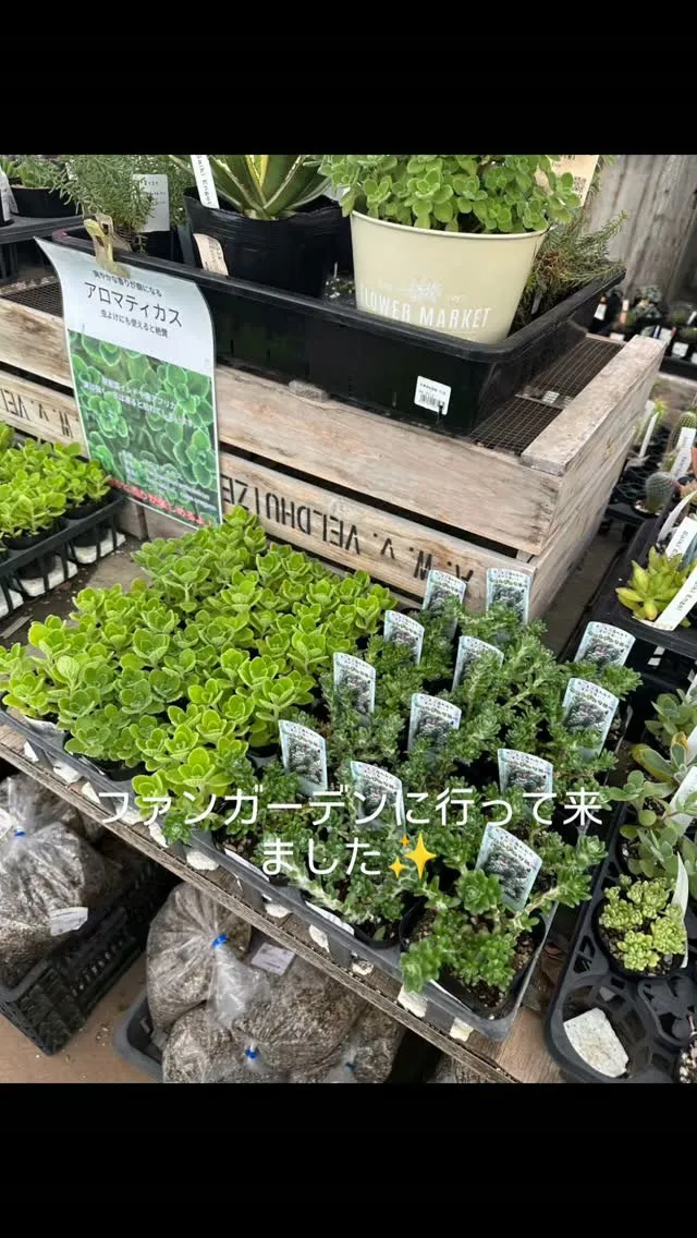 #ファンガーデン松前店 に行って来ました✨